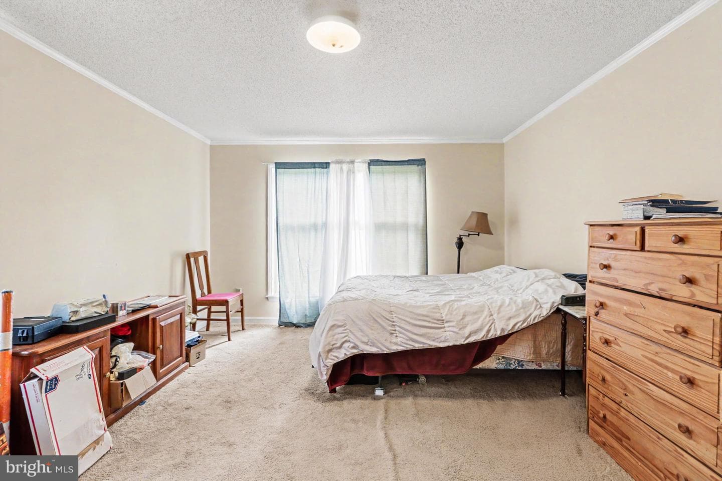 19 Forest Lane photo 35