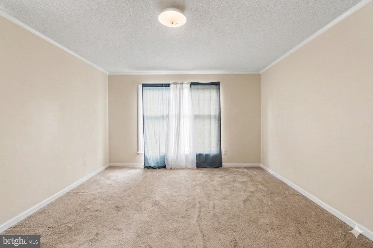 19 Forest Lane photo 7