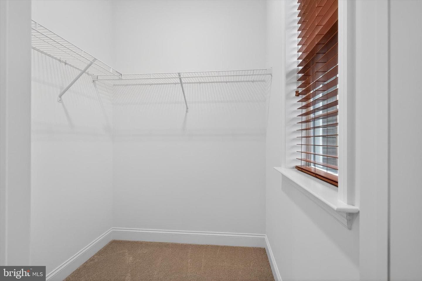 87 Edris Lane photo 40