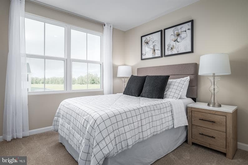11 Debra Lane #48d photo 15