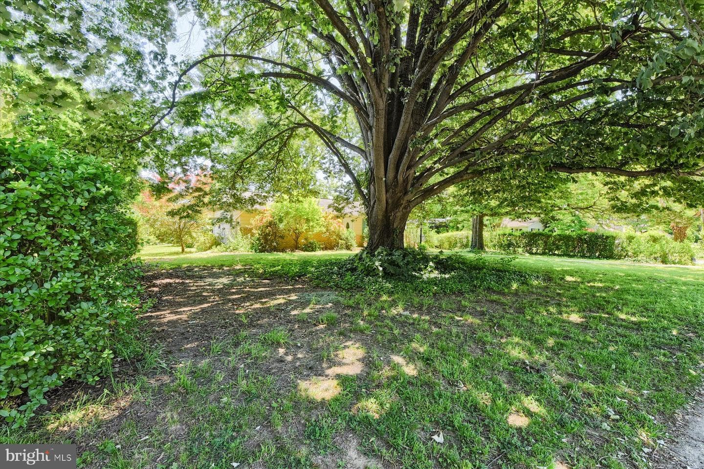 113 S Orange Street photo 25