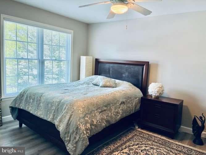 4005 Pamay Dr photo 16