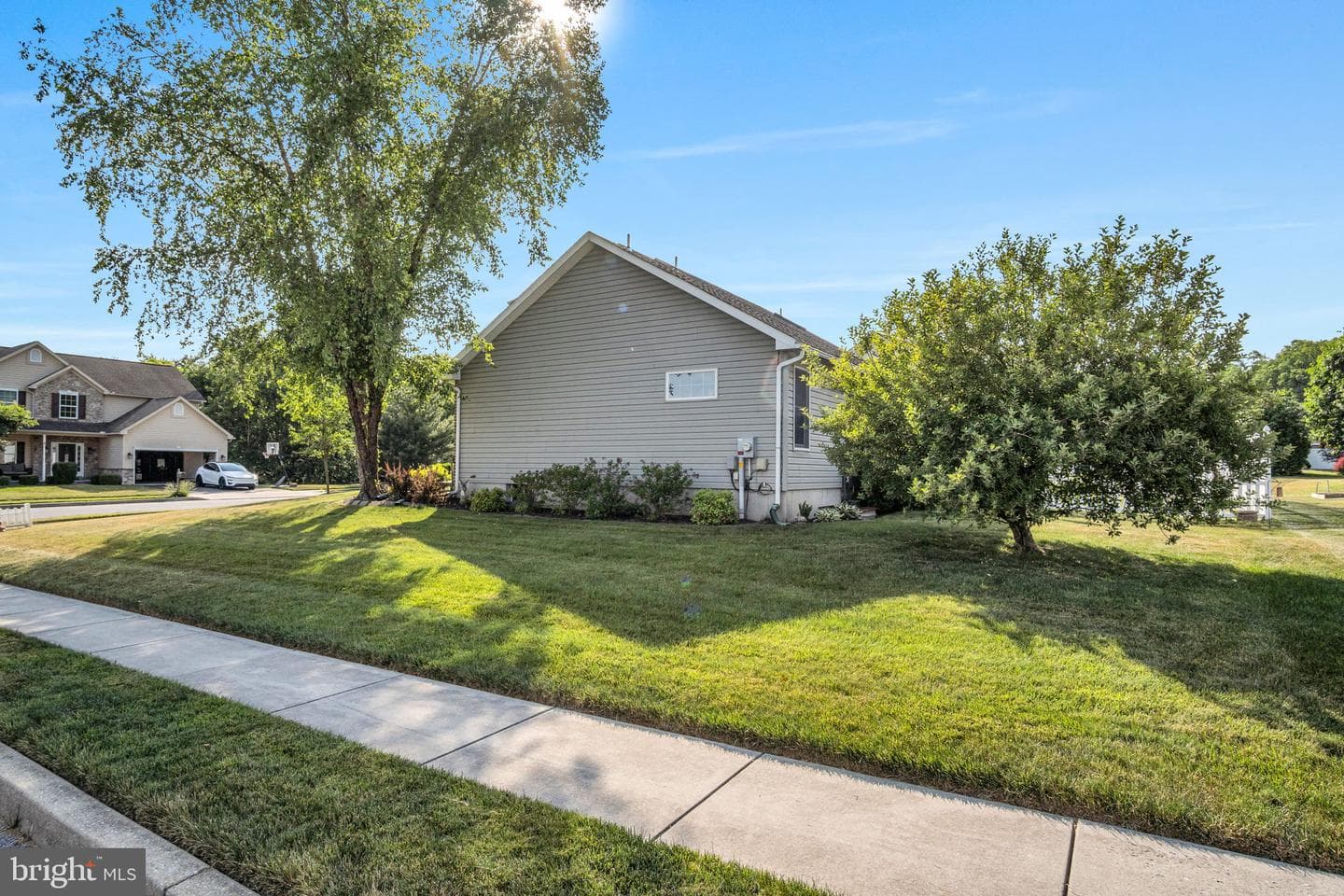 7 Larch Lane photo 38
