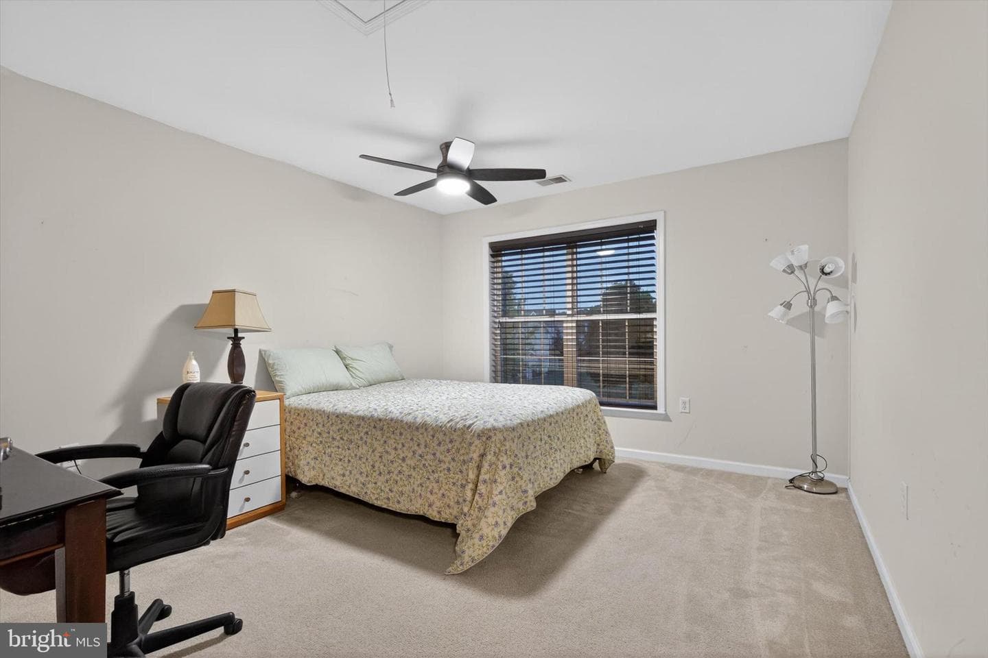 16 Foxwood Boulevard photo 29
