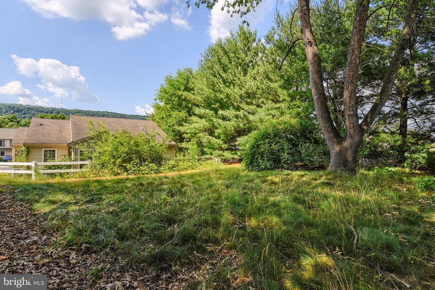 41 Woodmyre Lane photo 39