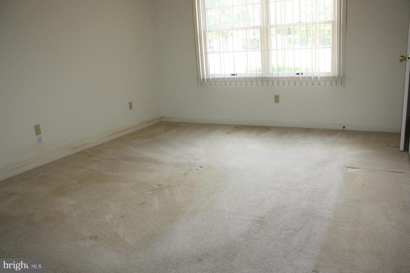 11 Clifton Terrace photo 11