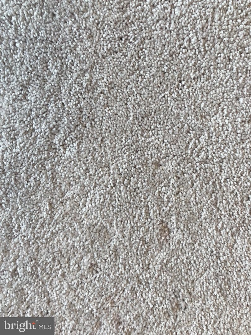 123 Blue Mountain Boulevard photo 30