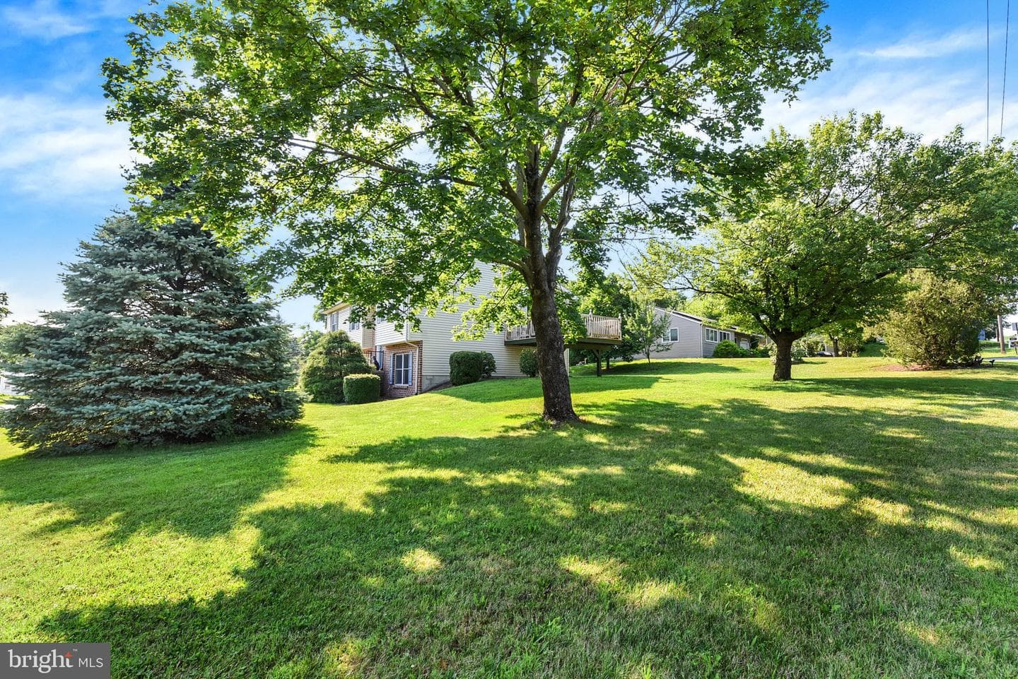 100 Fern Avenue photo 31