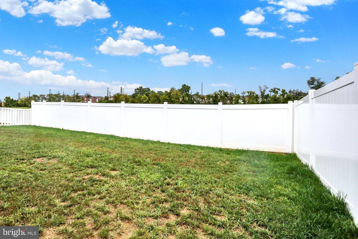 3113 Bullfinch Lane photo 45