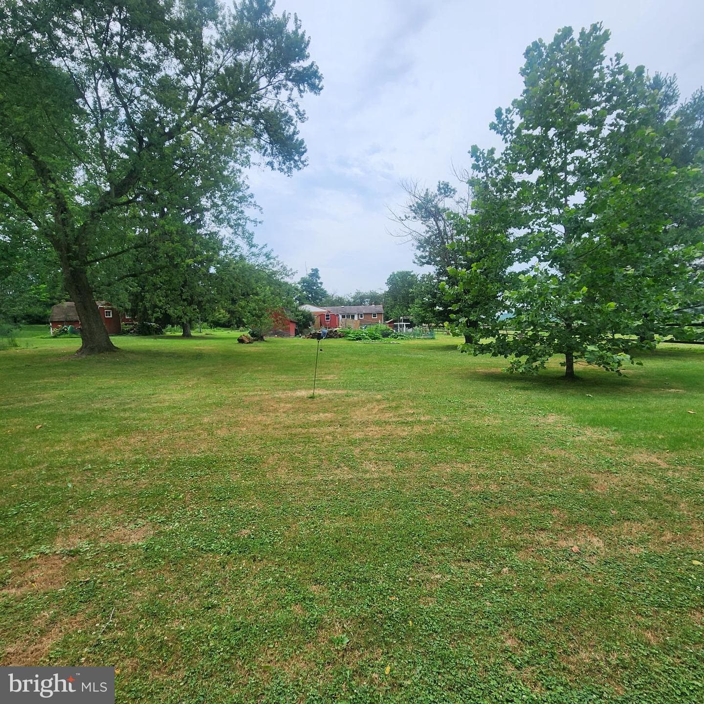 493 Criswell Drive photo 10