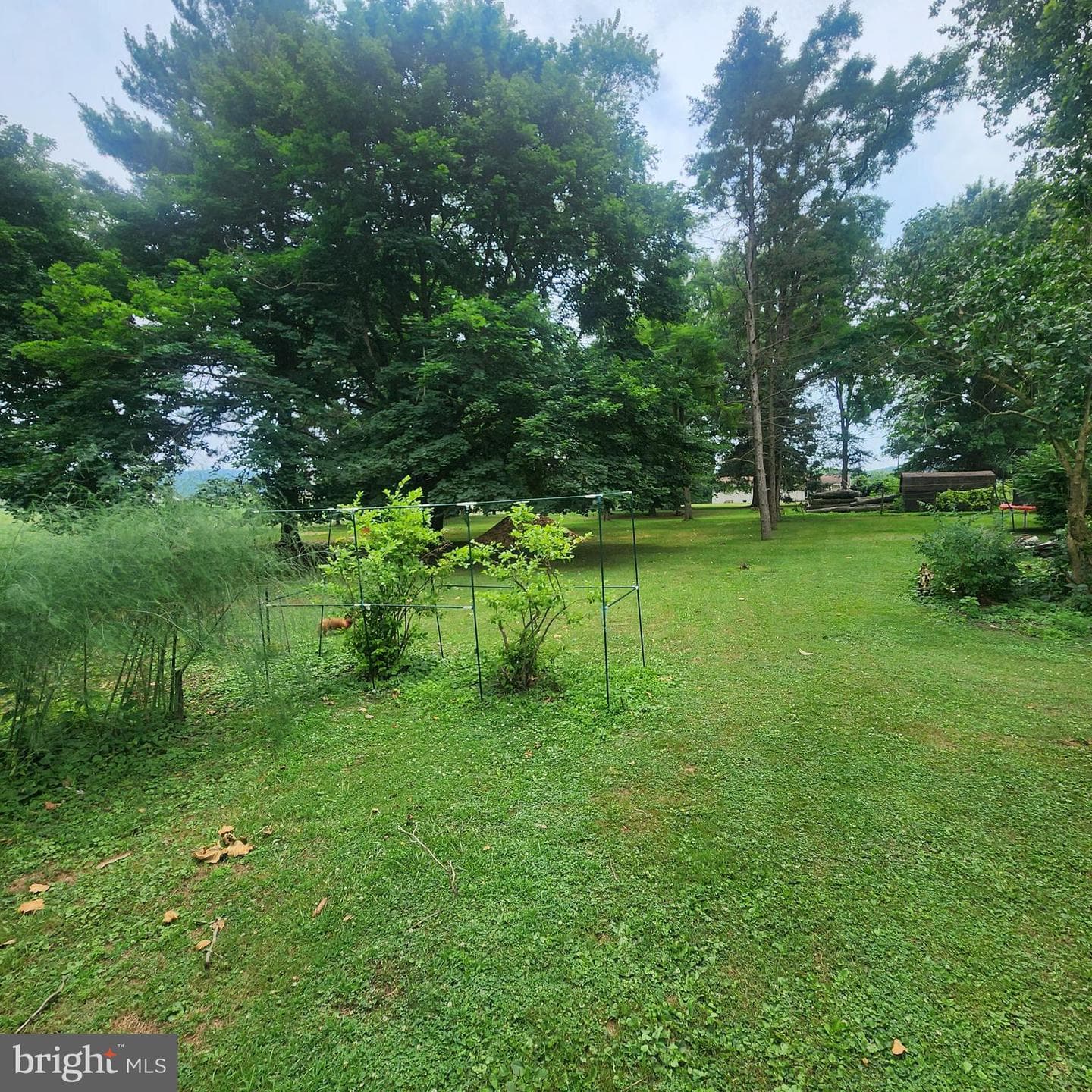 493 Criswell Drive photo 11