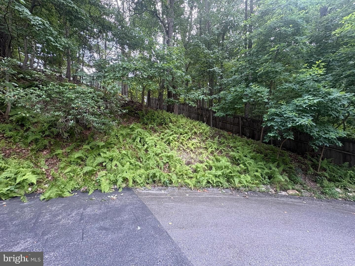 1323 Swope Drive photo 91