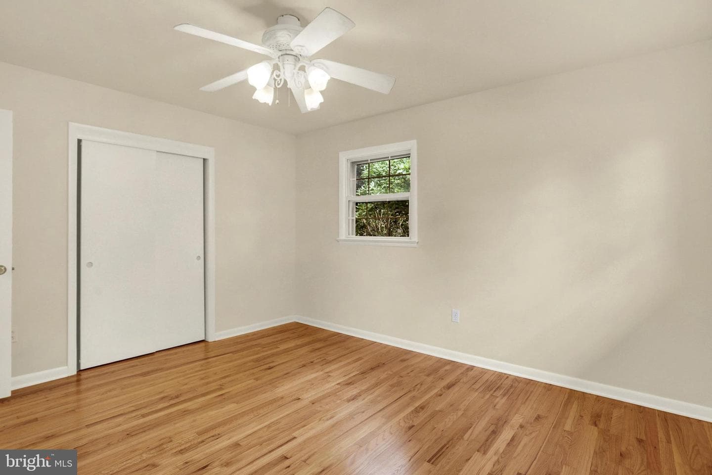 1 E Woodland Drive photo 24