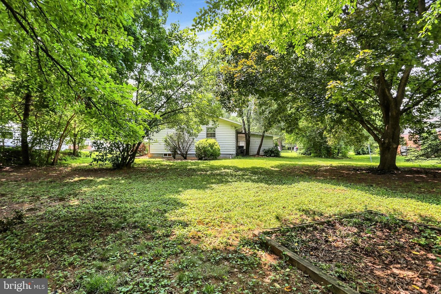 1 E Woodland Drive photo 5