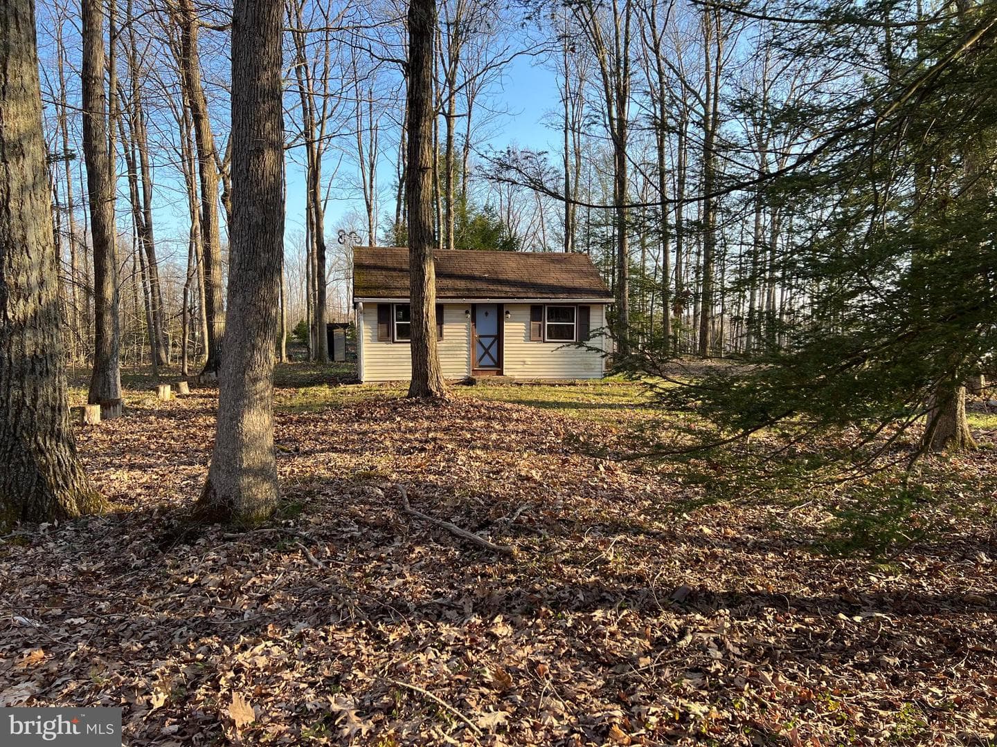 21 Hunting Lane photo 2