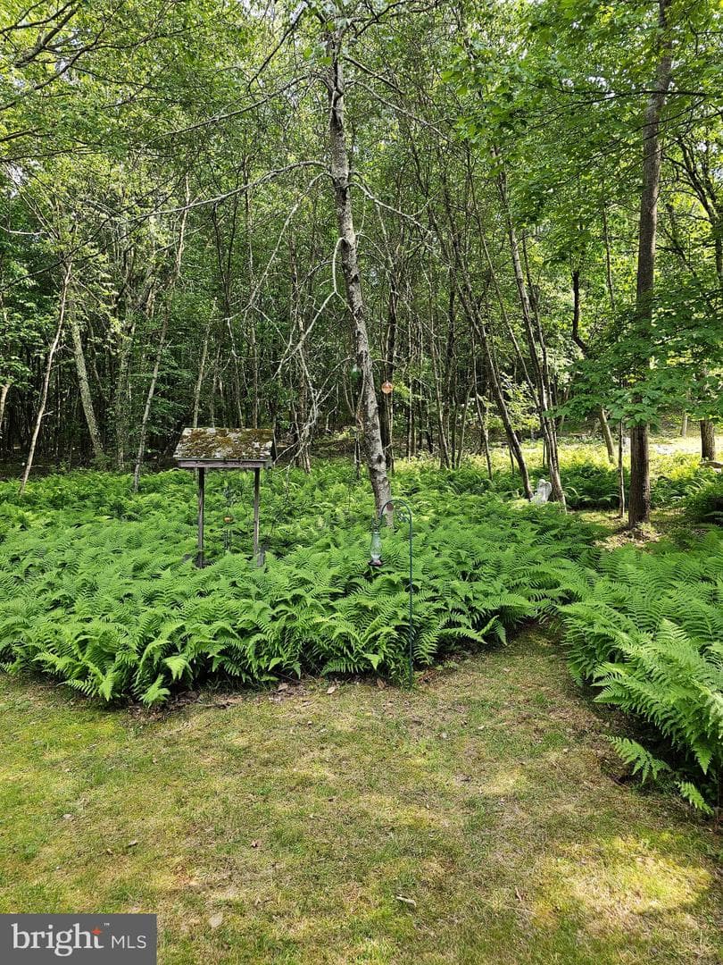 120 Lipo Way photo 37