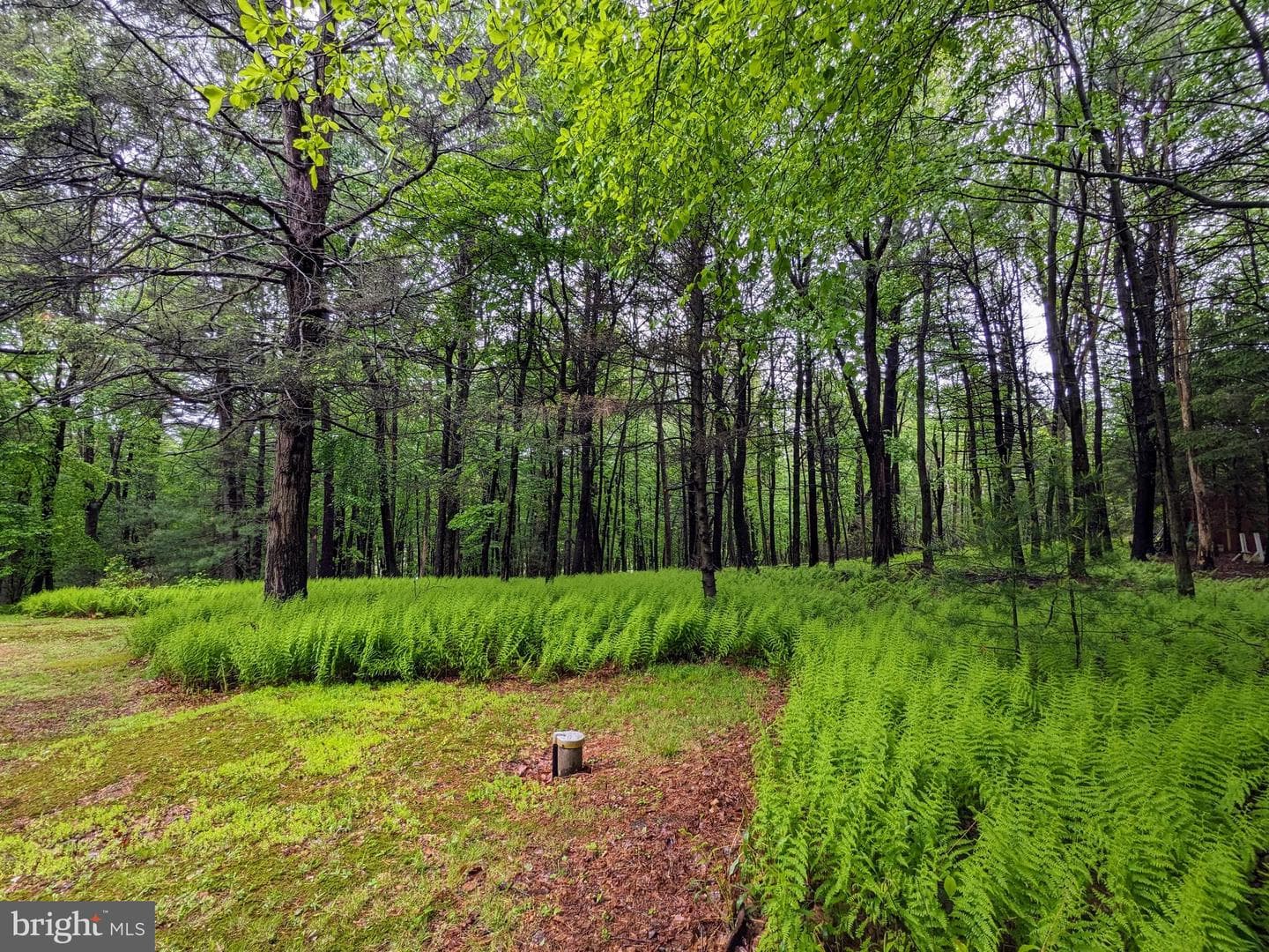 180 Arbor Road photo 7