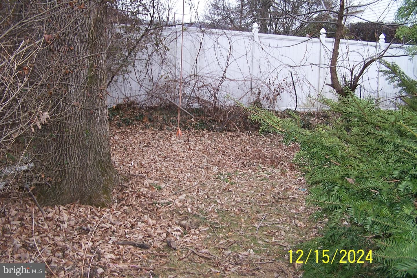 303 W Patterson Street photo 22