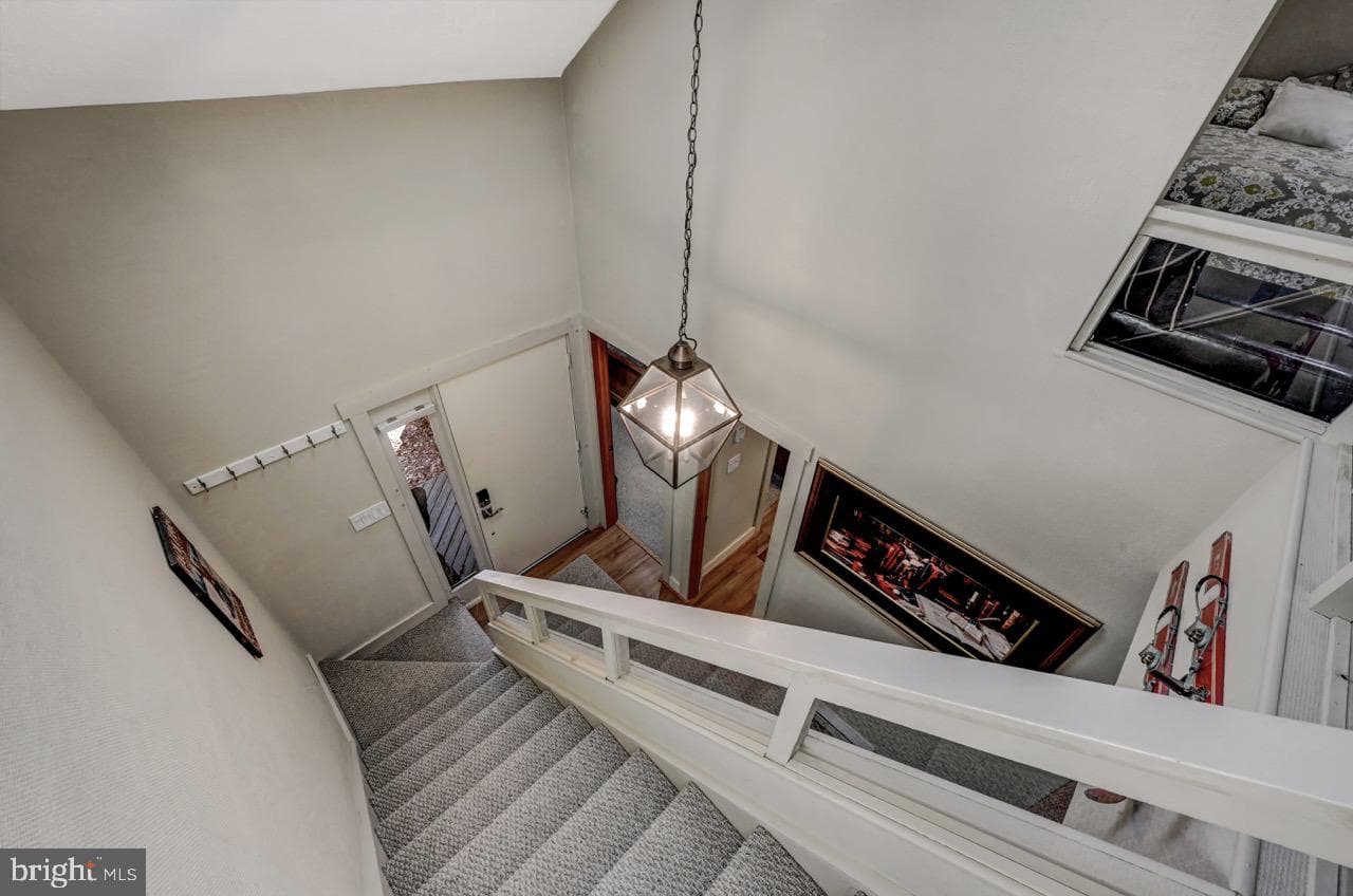 390 Snow Ridge Circle photo 50