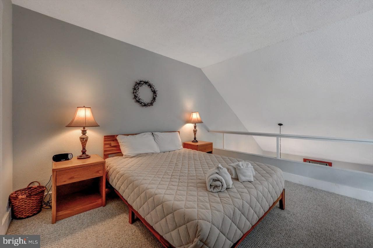 116 Snow Ridge Circle photo 49