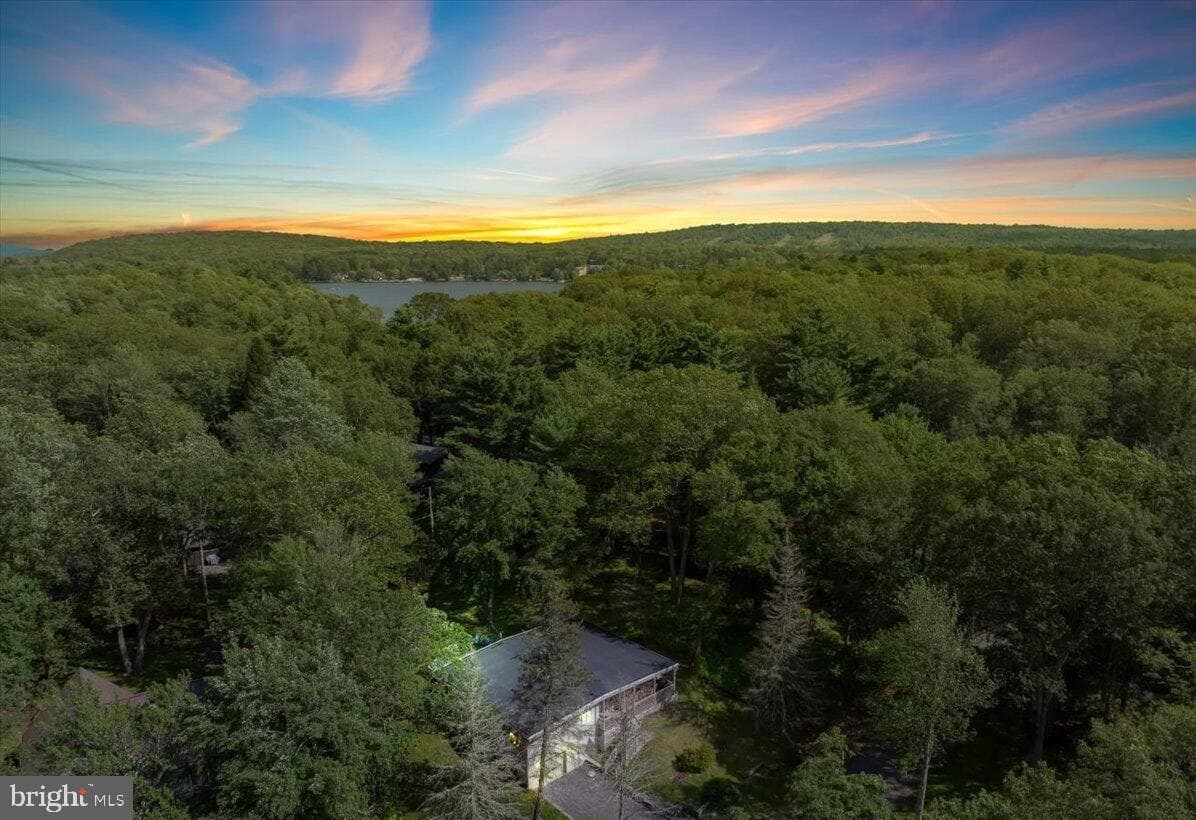 72 Forest Drive photo 58