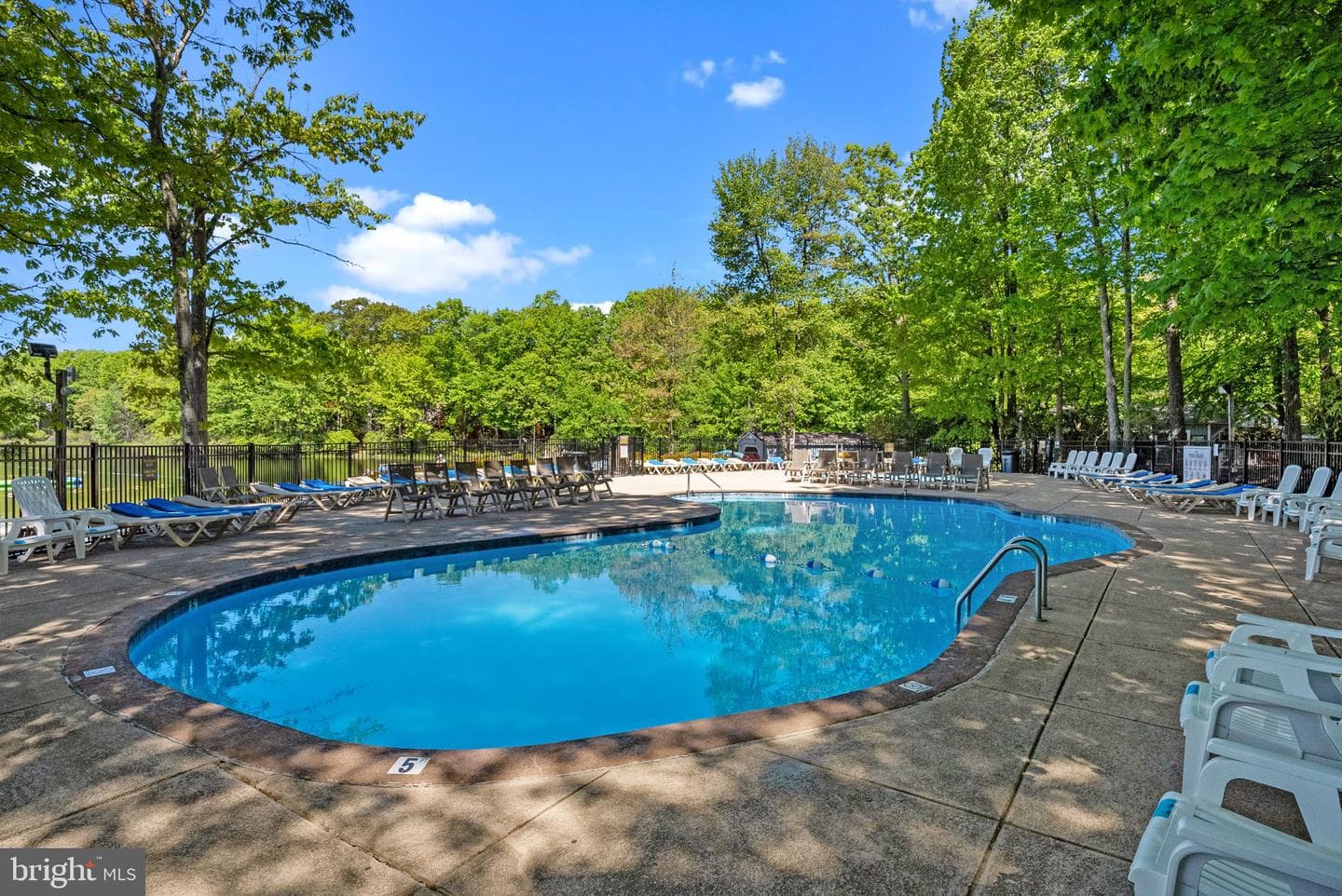 443 Mountainwoods Drive photo 65