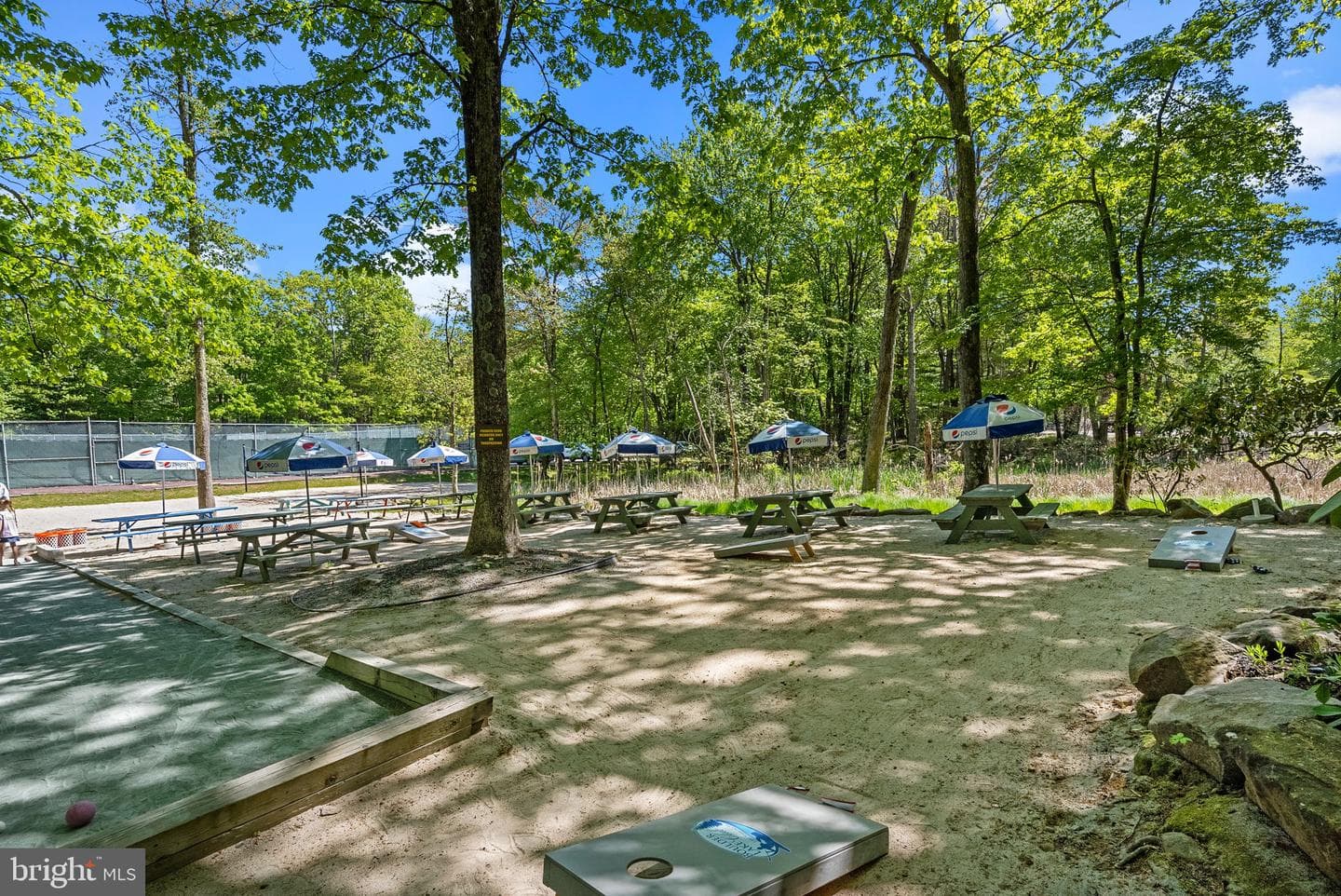 443 Mountainwoods Drive photo 67