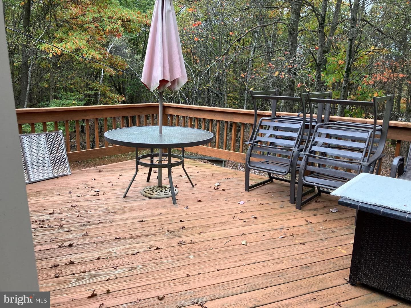6 Iroquois Road photo 3
