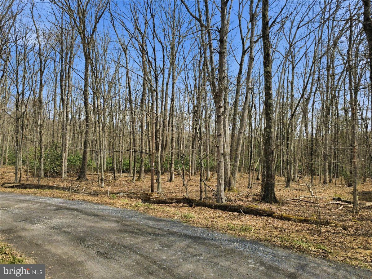 186 Timberlane Drive photo 67