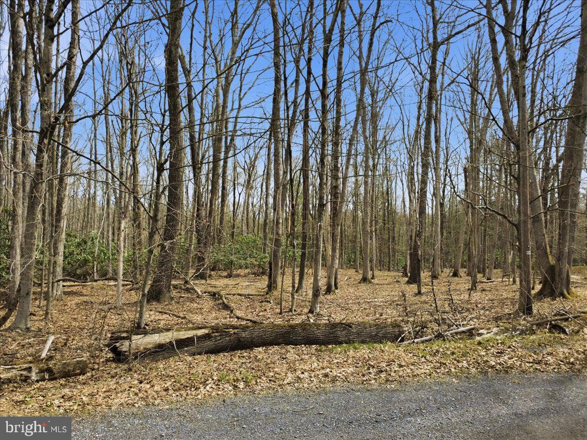 186 Timberlane Drive photo 68