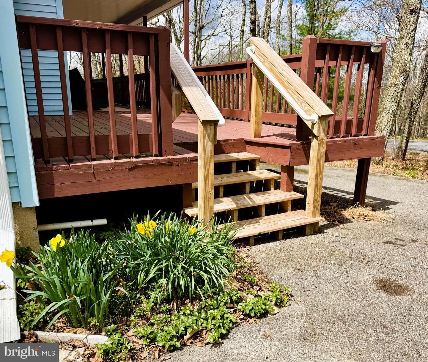 59 White Birch Drive photo 42