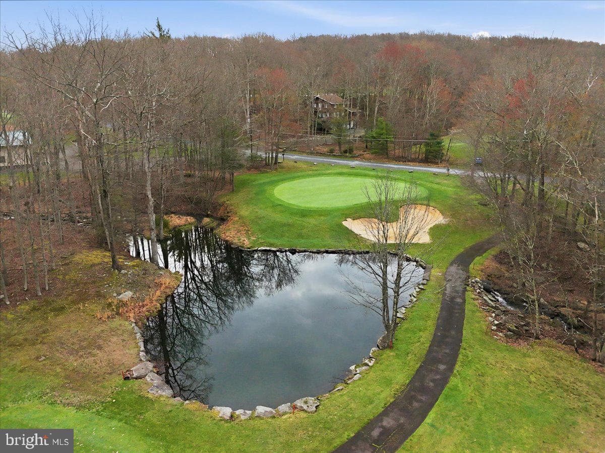 109 Lake Drive photo 49