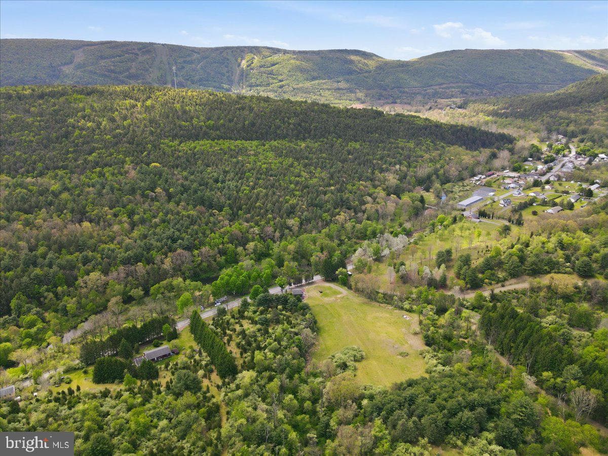 4880 Little Gap Road photo 98