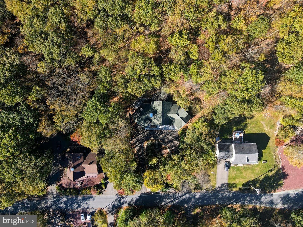 493 Lake Dr photo 93