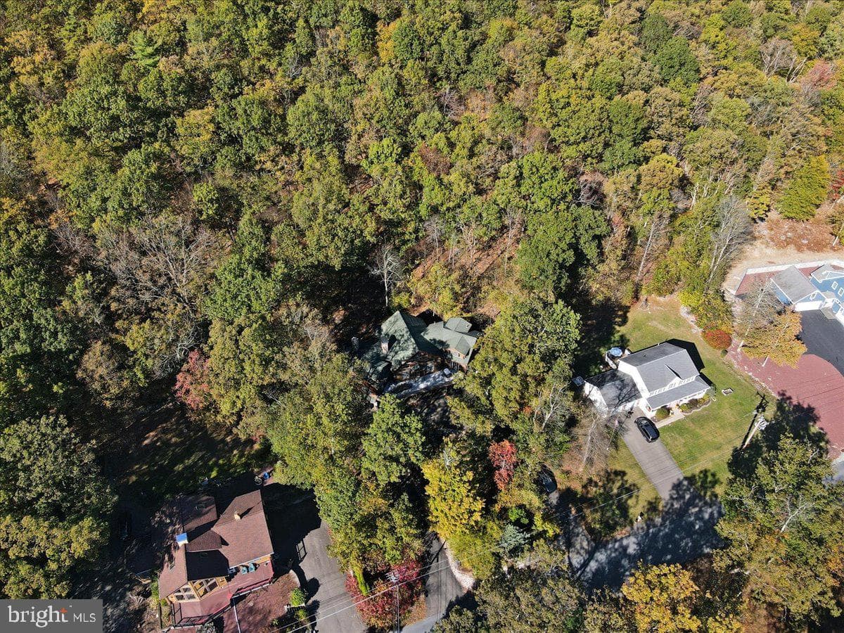 493 Lake Dr photo 97
