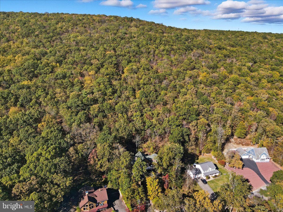 493 Lake Dr photo 99