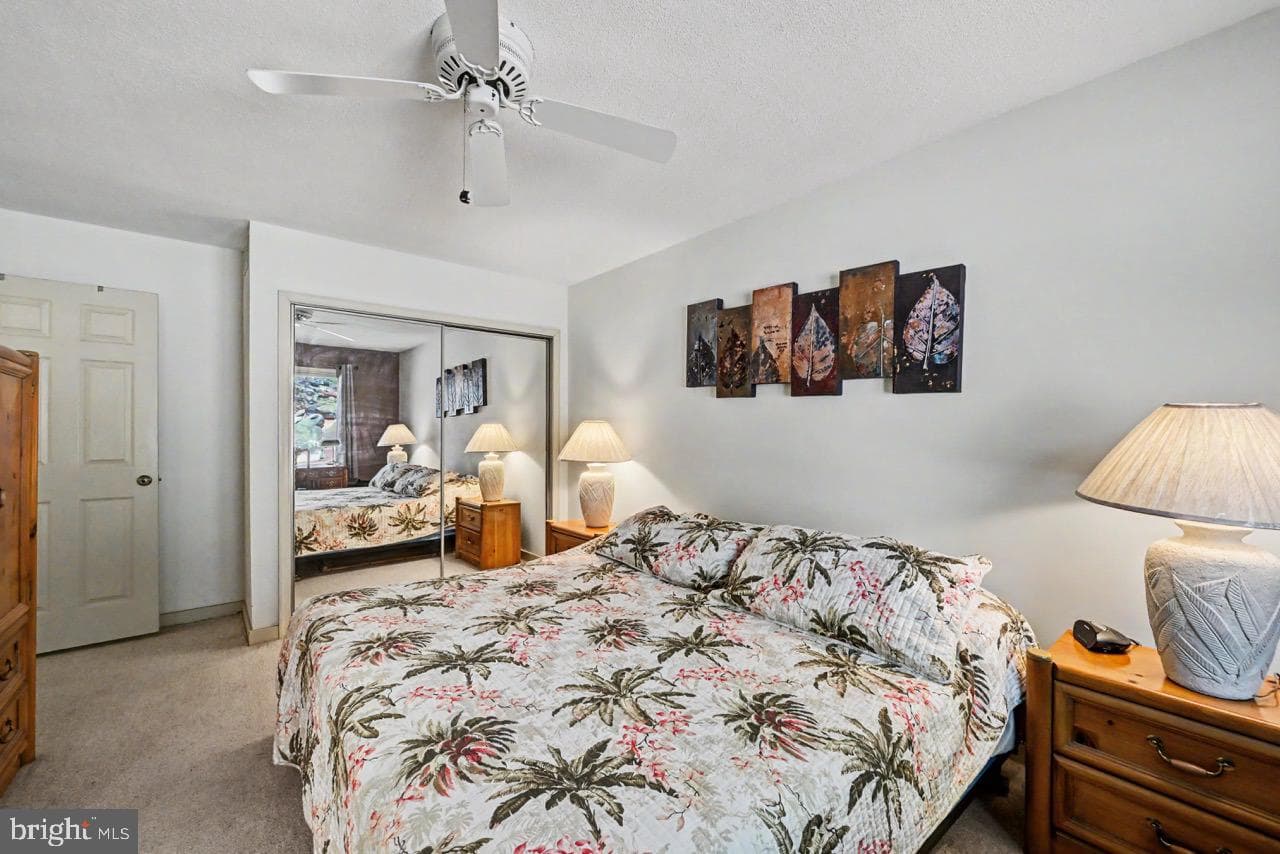 5 Beachwood Court photo 18