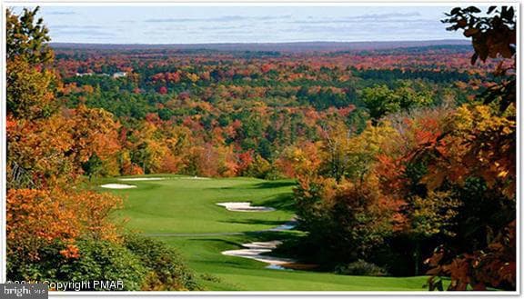 5 Beachwood Court photo 51