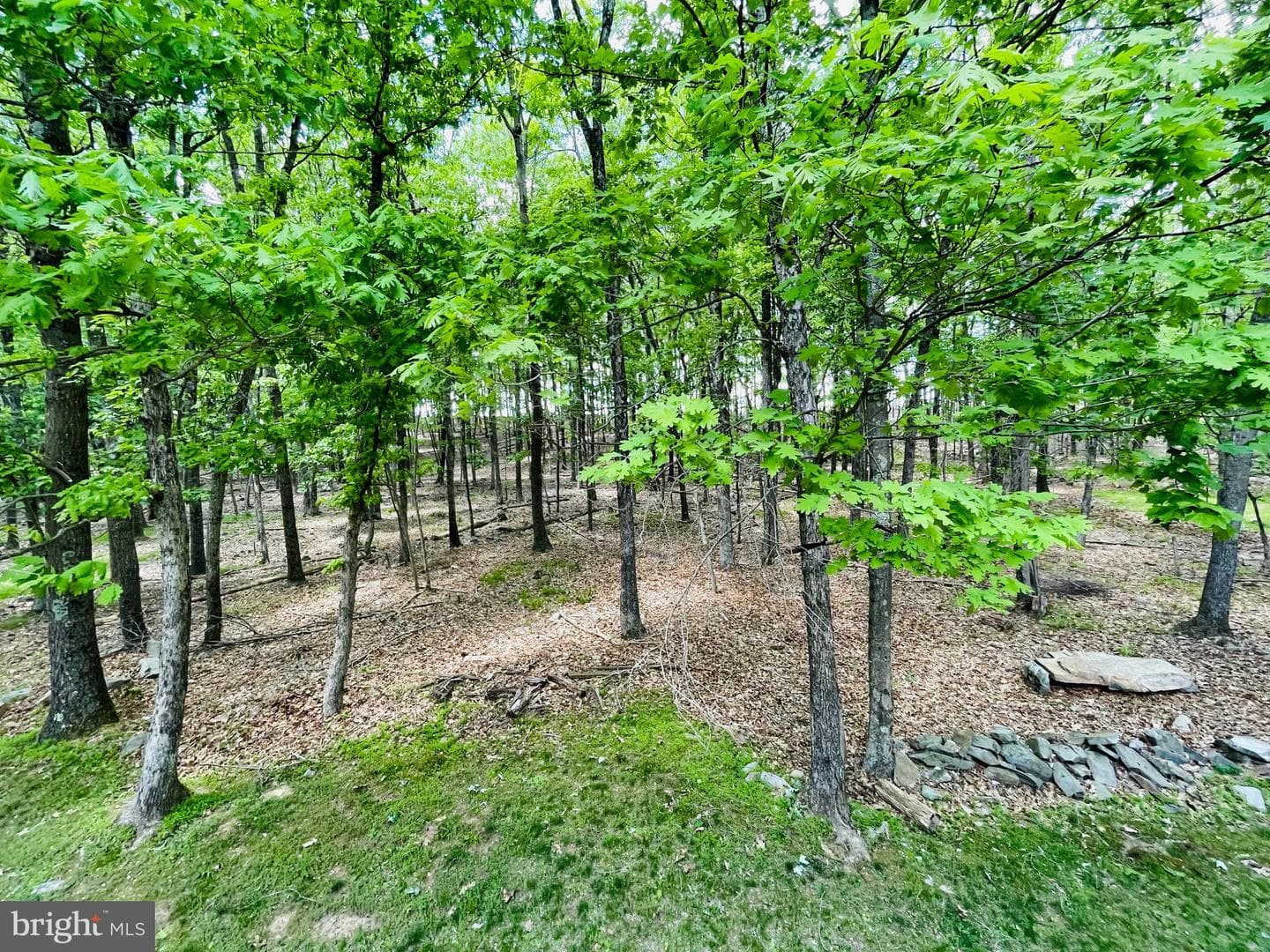 9 Sycamore Circle photo 28