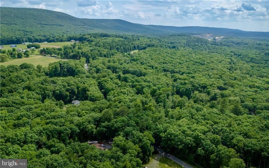 341 Stone Mountain Road photo 49