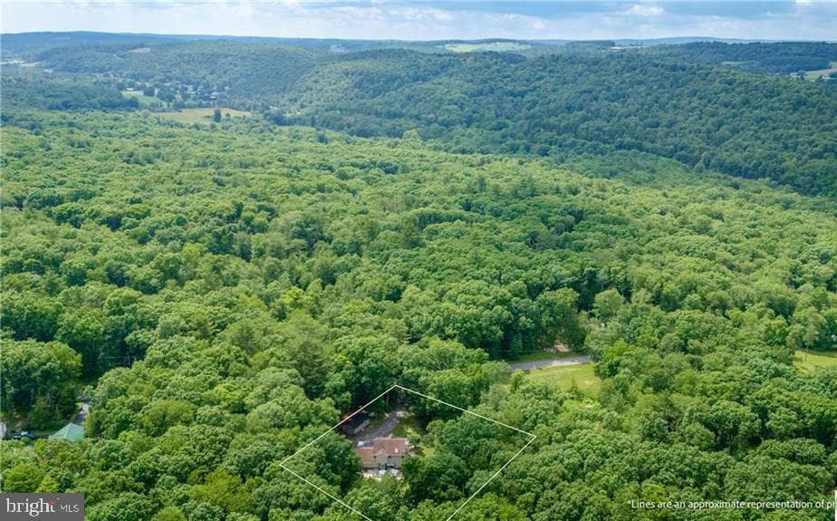 341 Stone Mountain Road photo 51