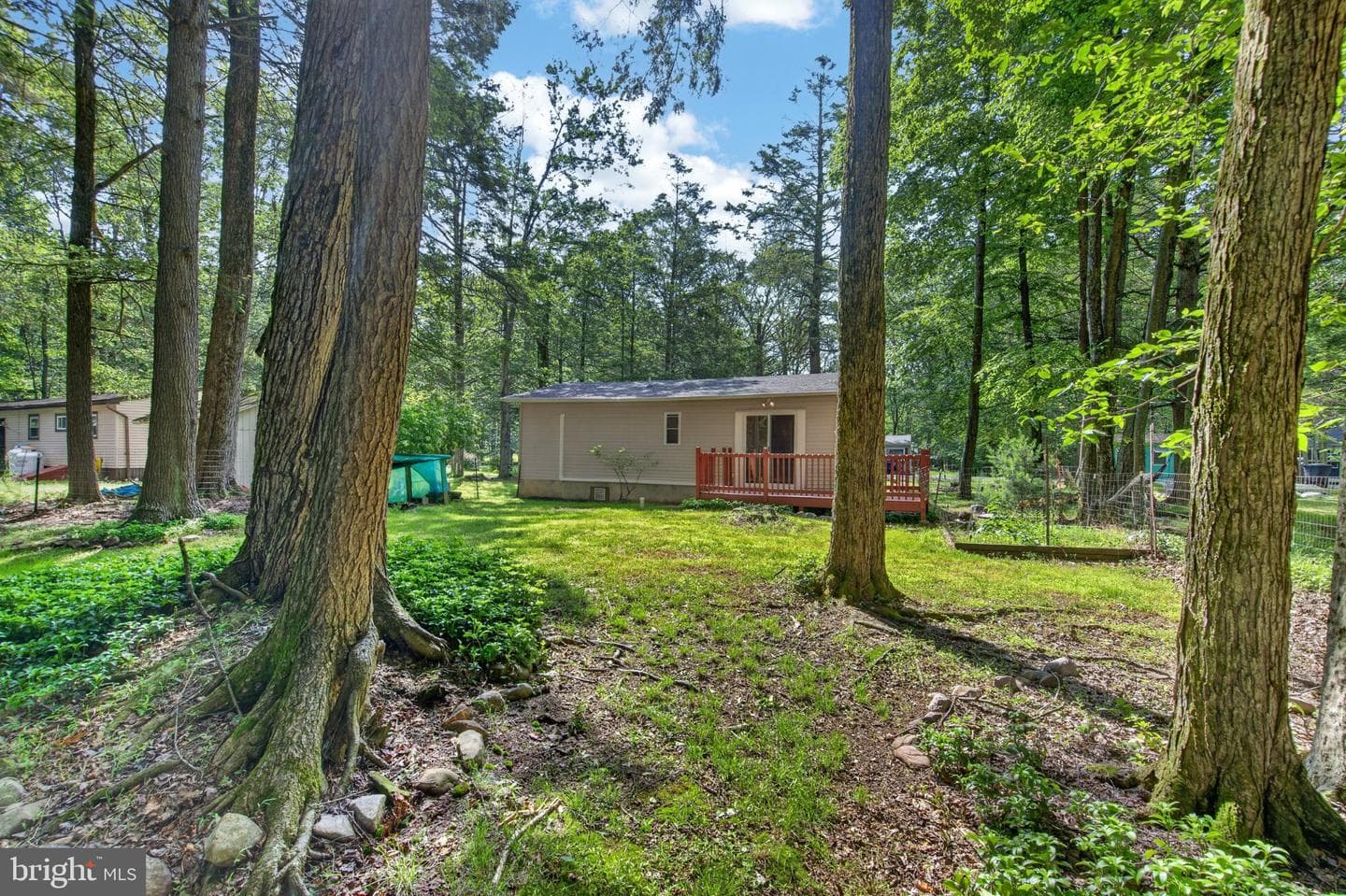 113 Tanglewood Drive photo 29