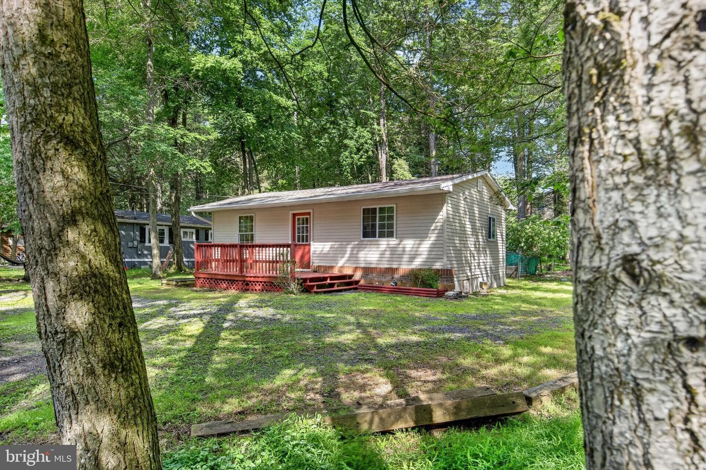 113 Tanglewood Drive photo 4