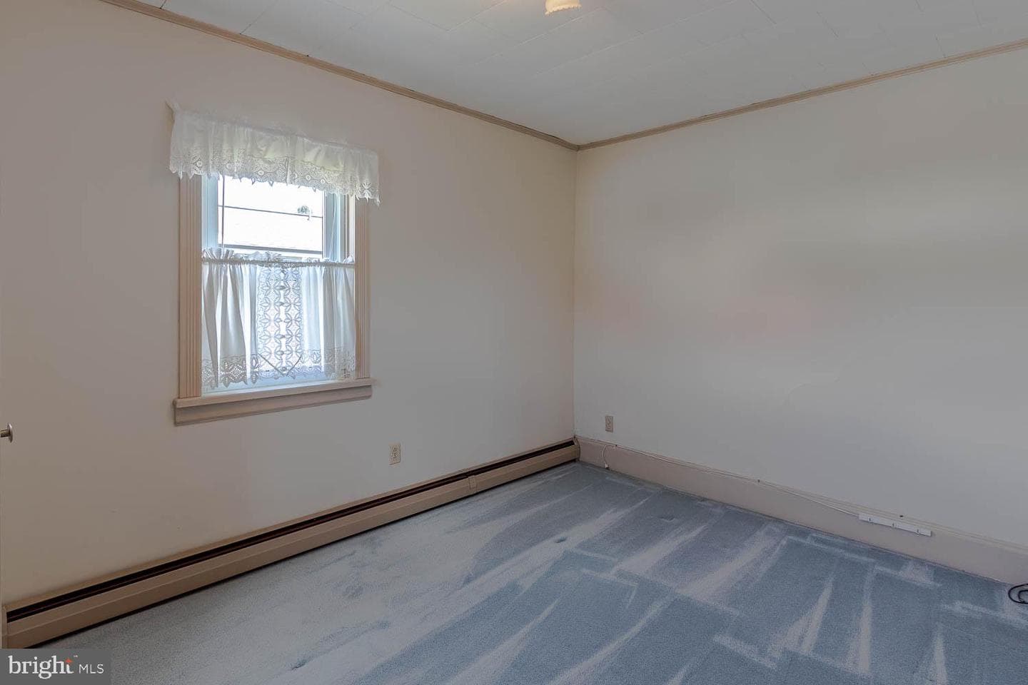 219 Elizabeth Street photo 27