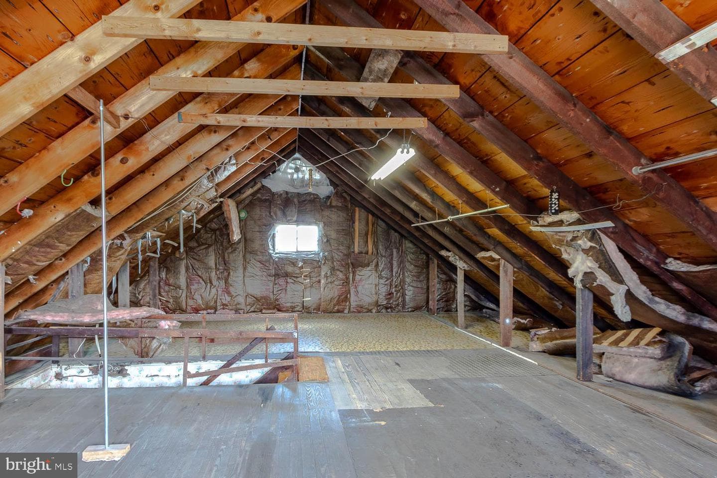 219 Elizabeth Street photo 32