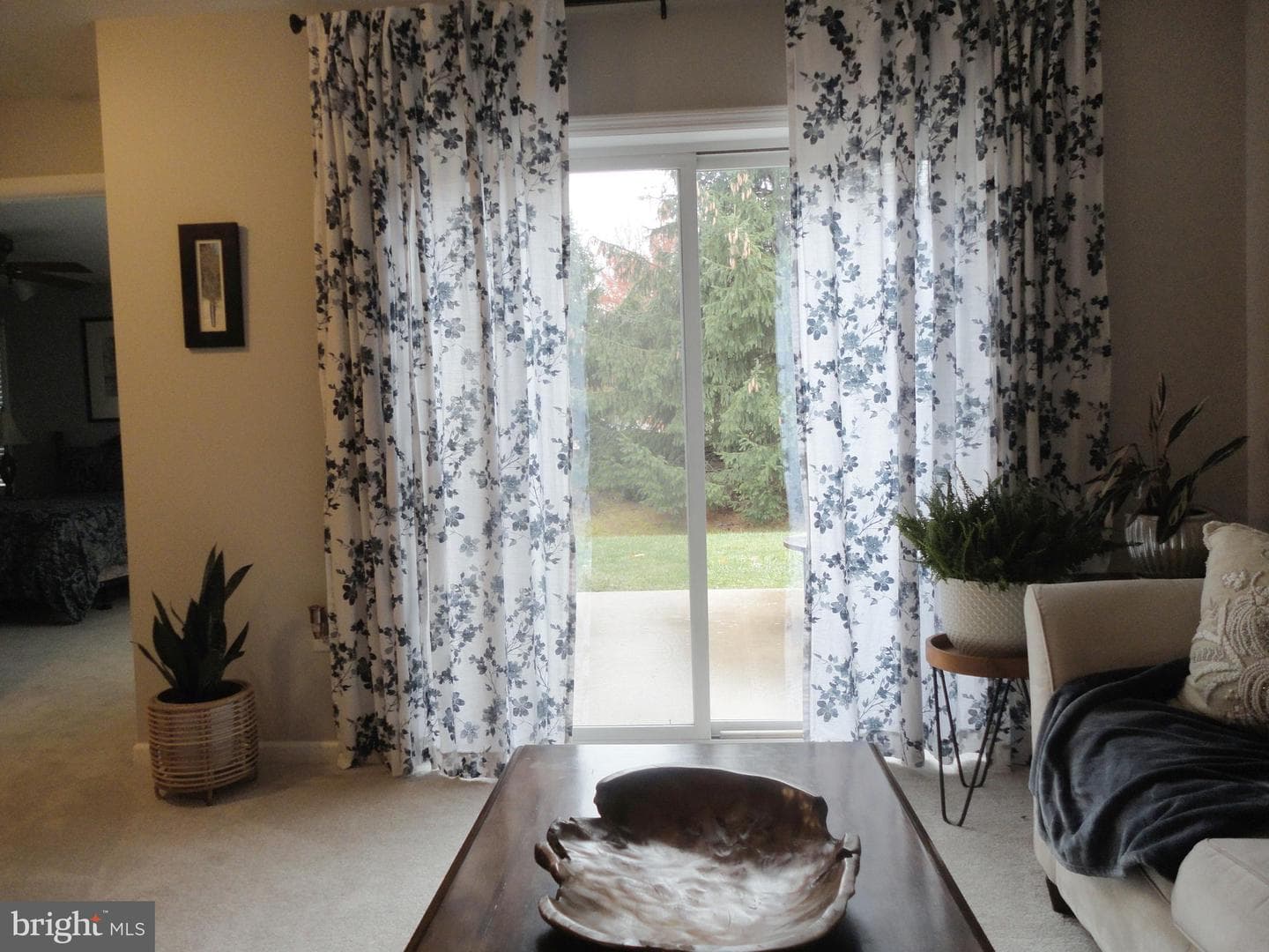 139 Winchester Court photo 12
