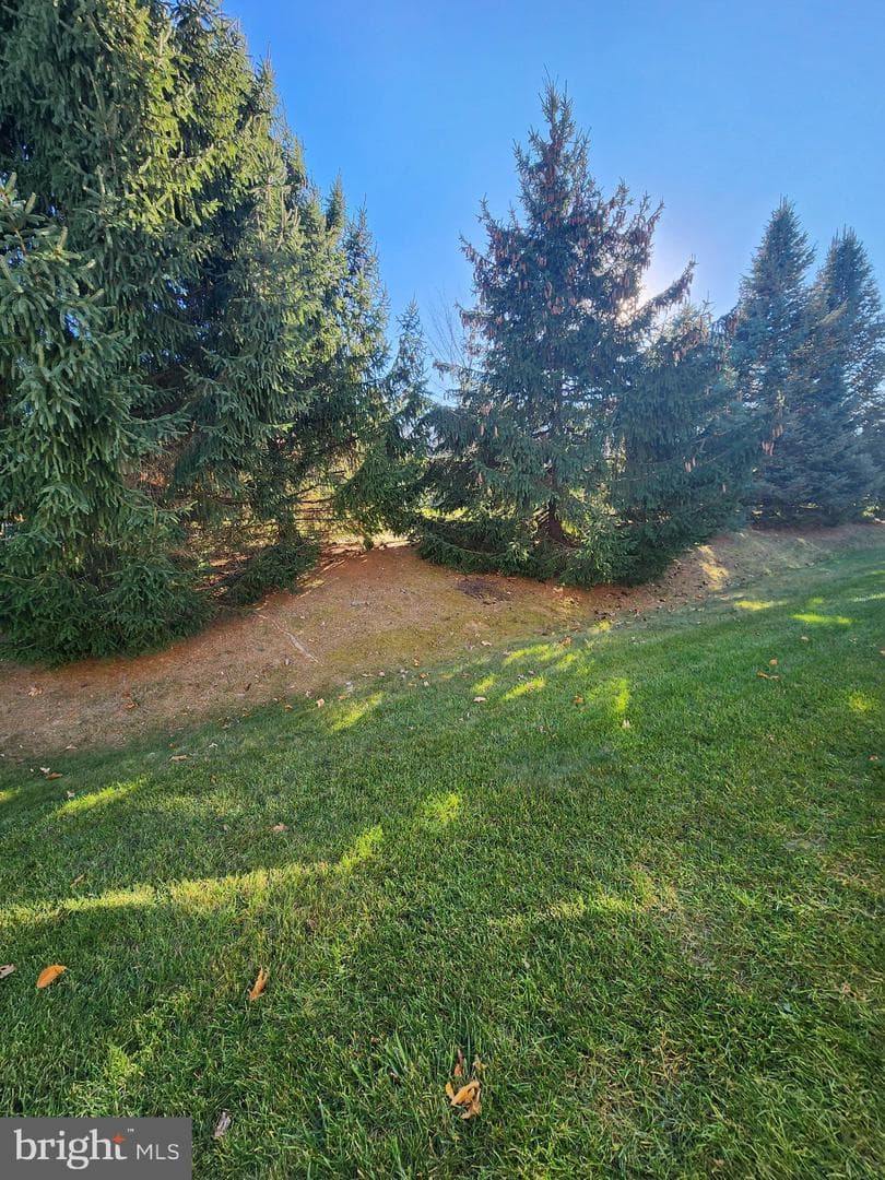 139 Winchester Court photo 29