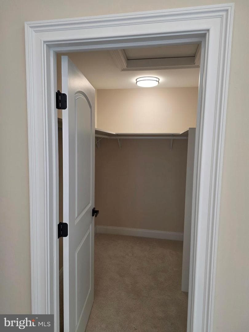 240 Banyan Drive photo 26