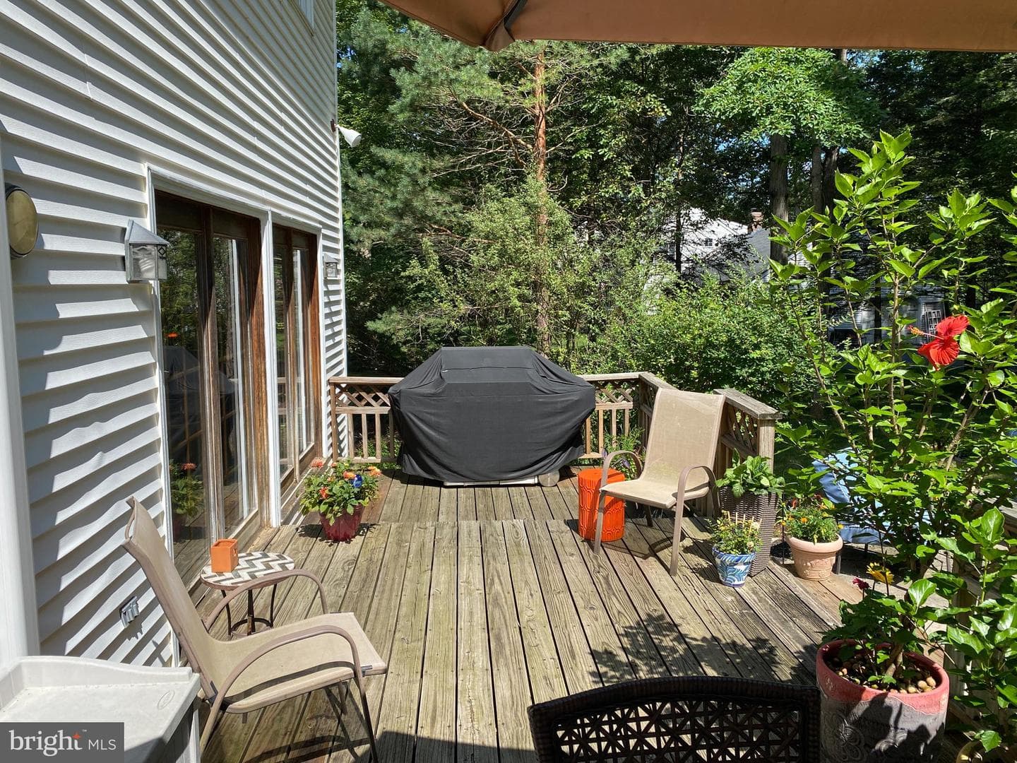 111 Wildernest Lane photo 48