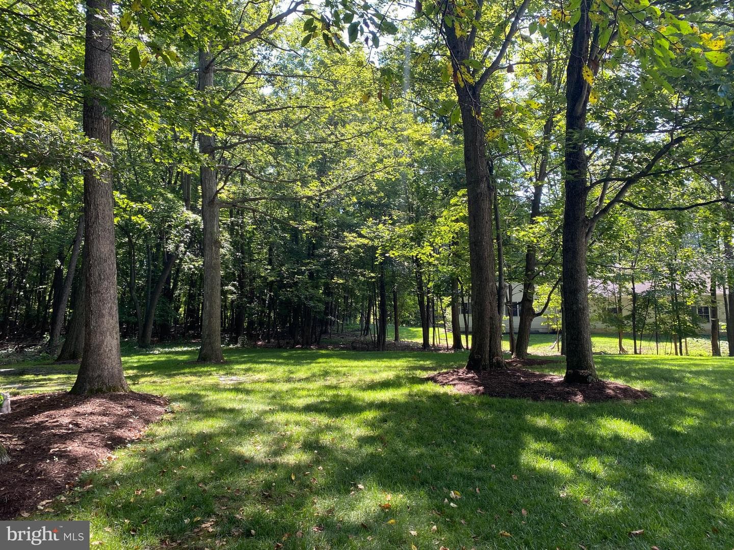 111 Wildernest Lane photo 5